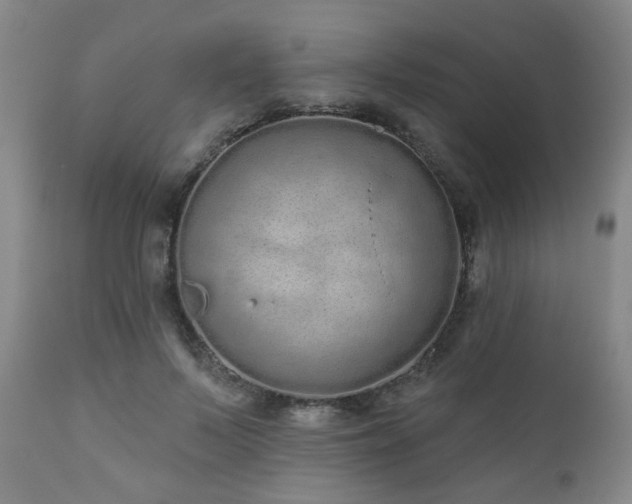 X0000110960695200906191312