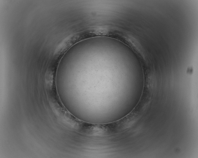 X0000110960697200906191312