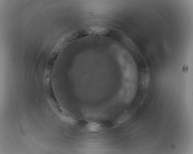 X0000110960701200906191312
