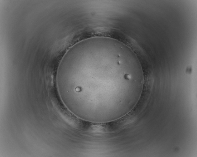 X0000110960703200906191312
