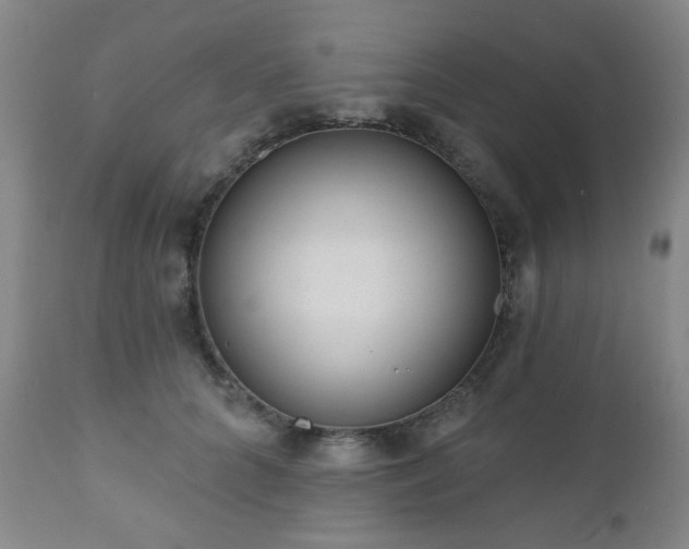 X0000110960704200906191312