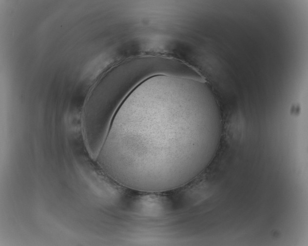 X0000110960708200906191312