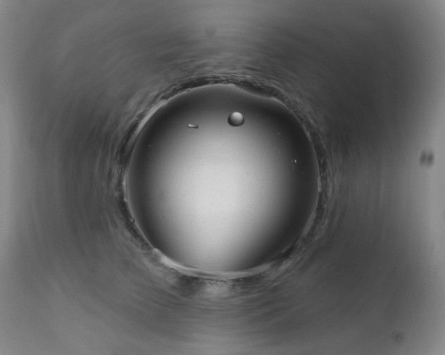 X0000110960709200906191312
