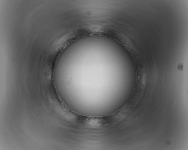 X0000110960710200906191312