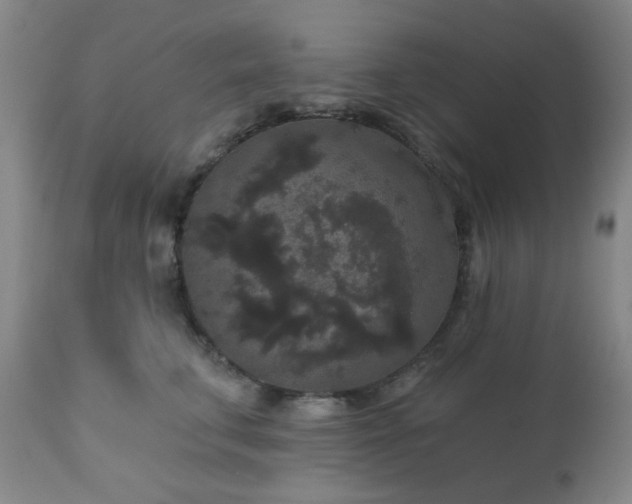 X0000110960711200906191312