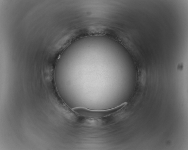 X0000110960712200906191312