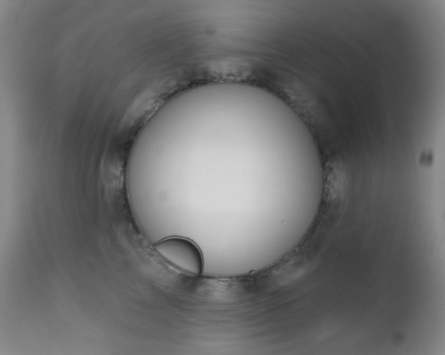 X0000110960713200906191312