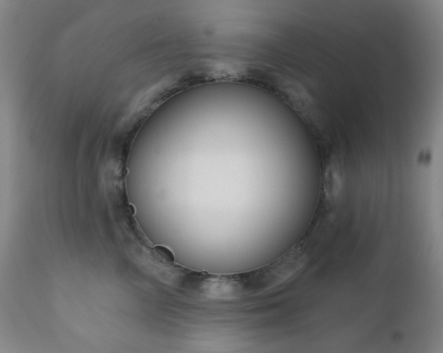 X0000110960714200906191312