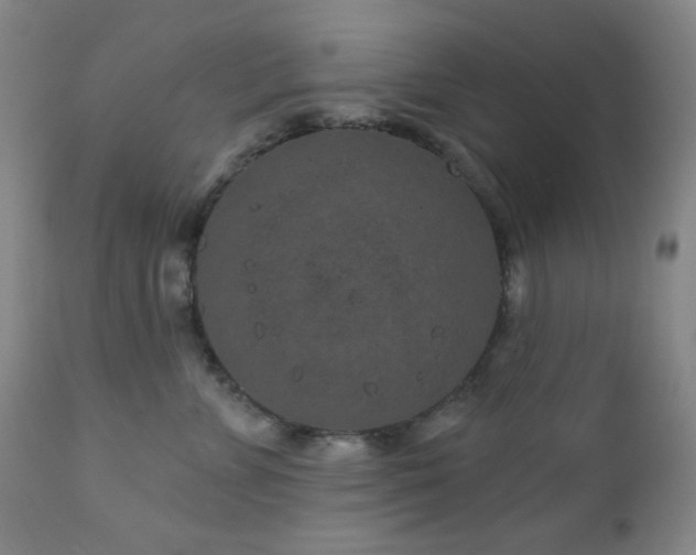 X0000110960715200906191312