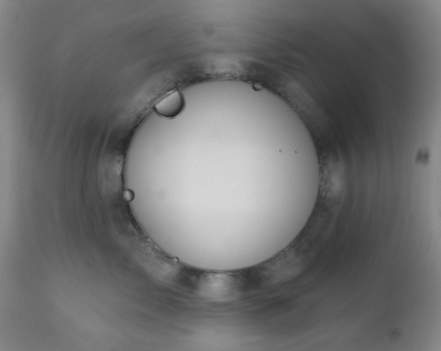 X0000110960717200906191312
