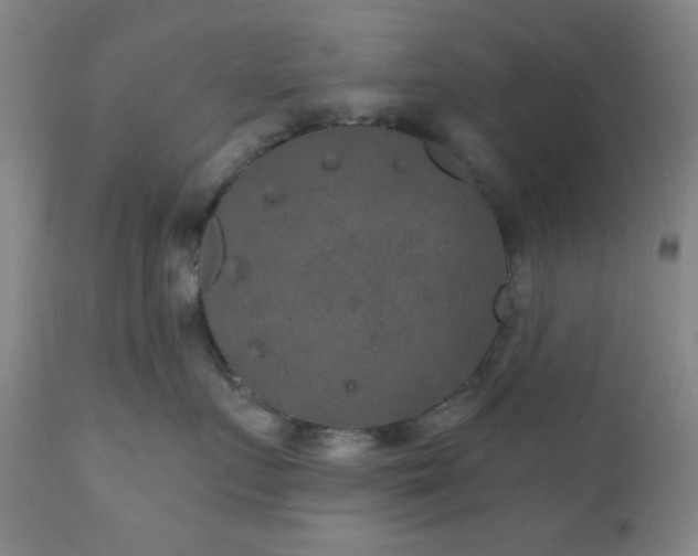 X0000110960719200906191312