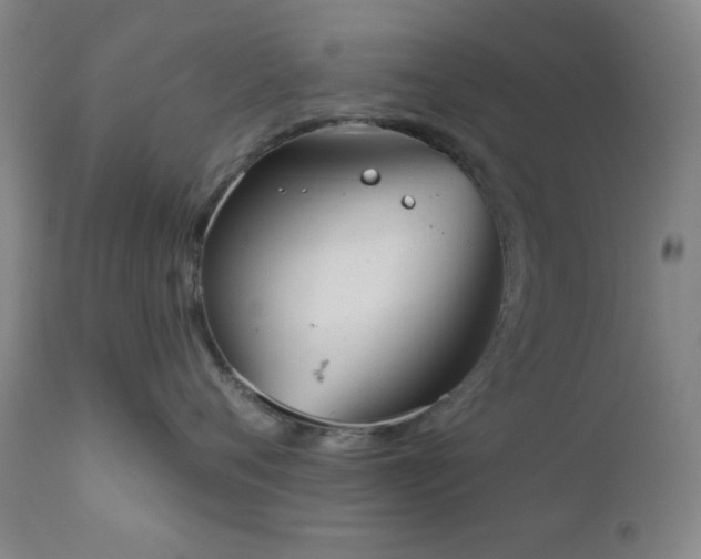 X0000110960720200906191312