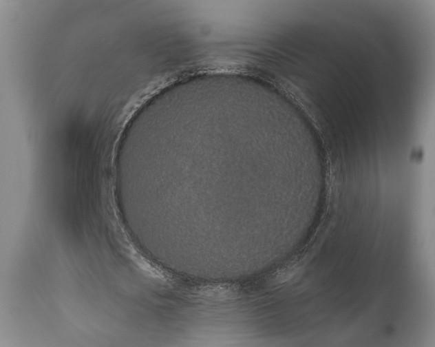 X0000110960721200906191311