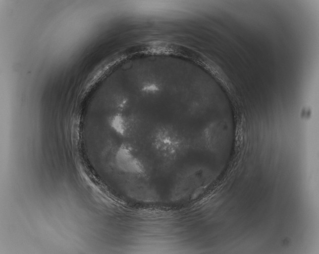 X0000110960722200906191311