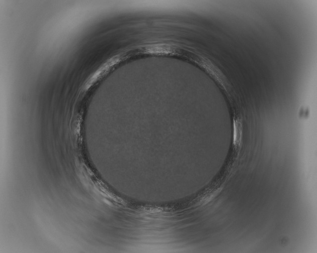 X0000110960723200906191311