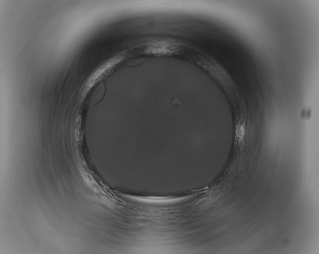 X0000110960724200906191311