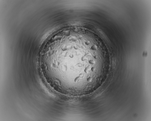 X0000110960725200906191311