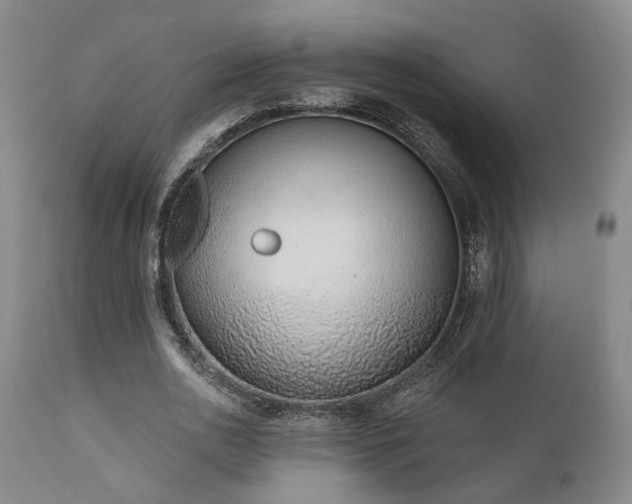 X0000110960726200906191311