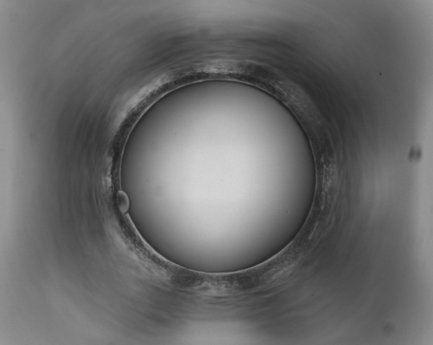 X0000110960727200906191311