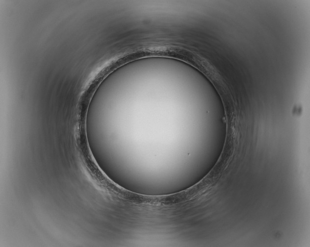 X0000110960728200906191311
