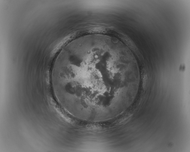 X0000110960729200906191311