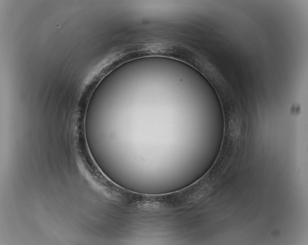 X0000110960730200906191311