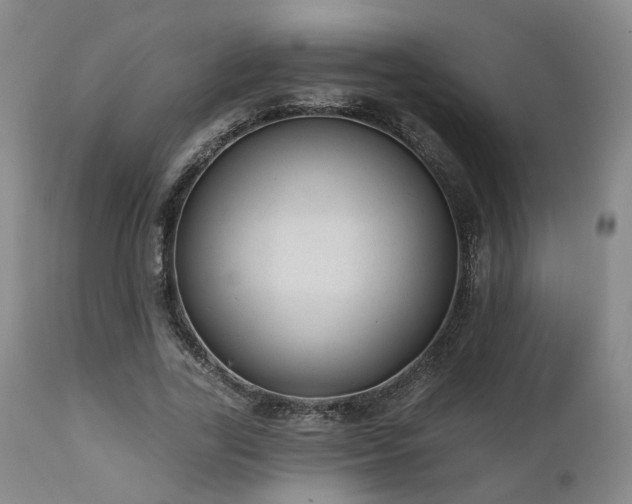 X0000110960731200906191311