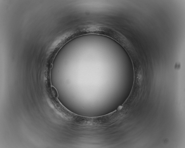 X0000110960732200906191311