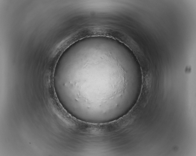 X0000110960733200906191311