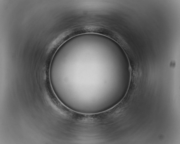 X0000110960734200906191311