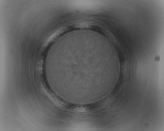 X0000110960735200906191311