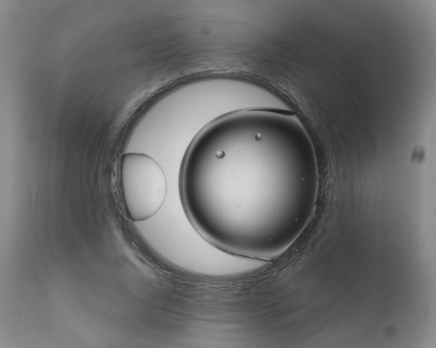 X0000110960736200906191311