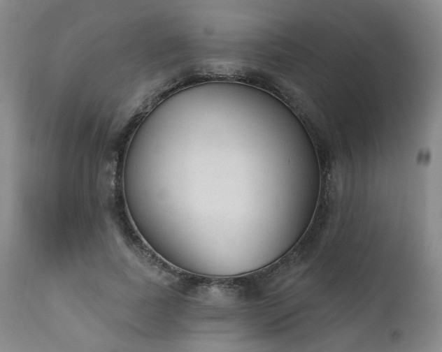 X0000110960739200906191311