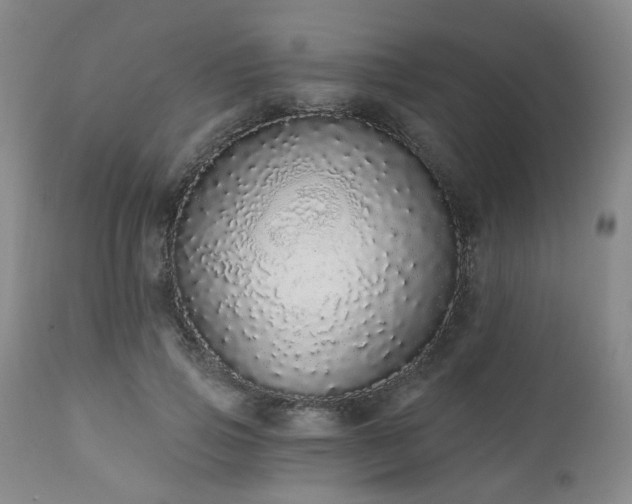 X0000110960741200906191311