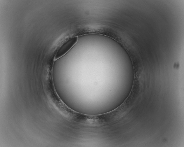 X0000110960744200906191311