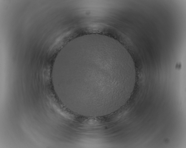 X0000110960745200906191311