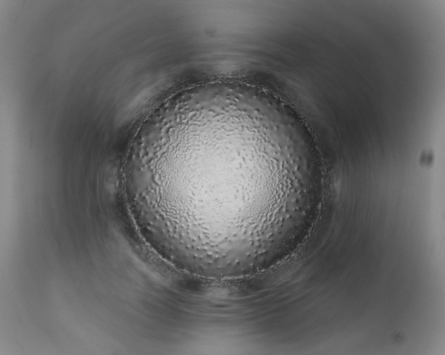 X0000110960746200906191311
