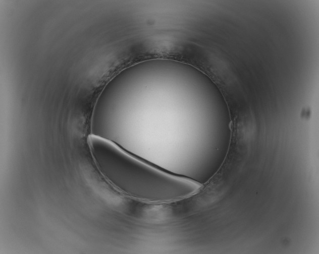 X0000110960750200906191312