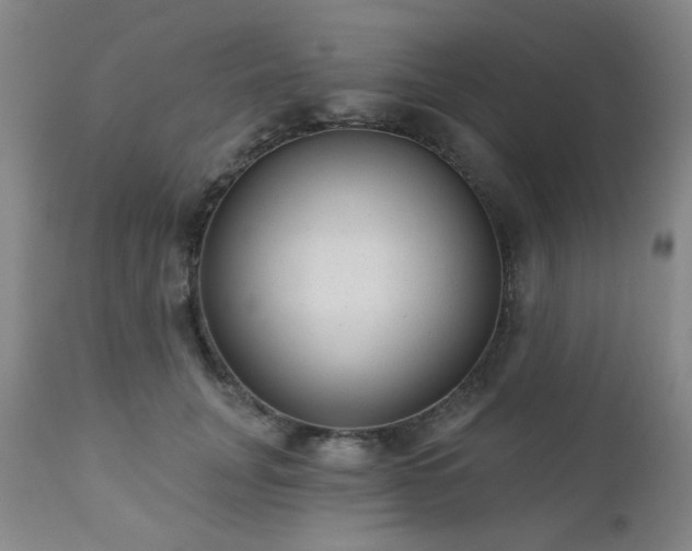 X0000110960751200906191312