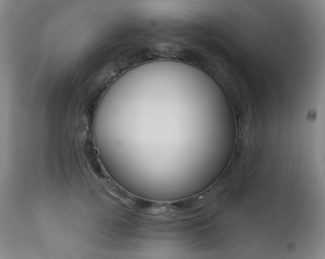 X0000110960752200906191312
