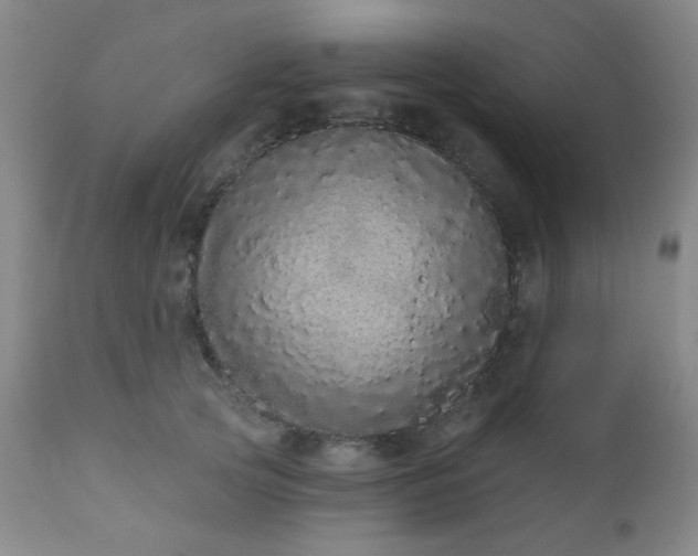 X0000110960753200906191312