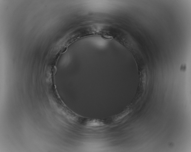X0000110960754200906191312