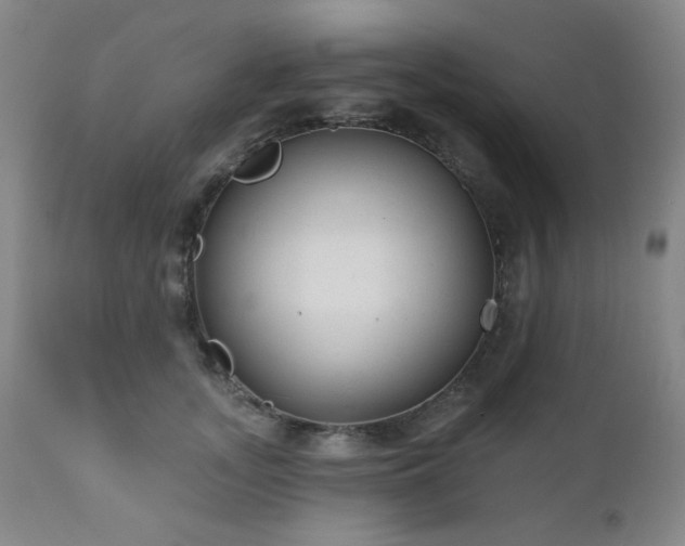 X0000110960755200906191312