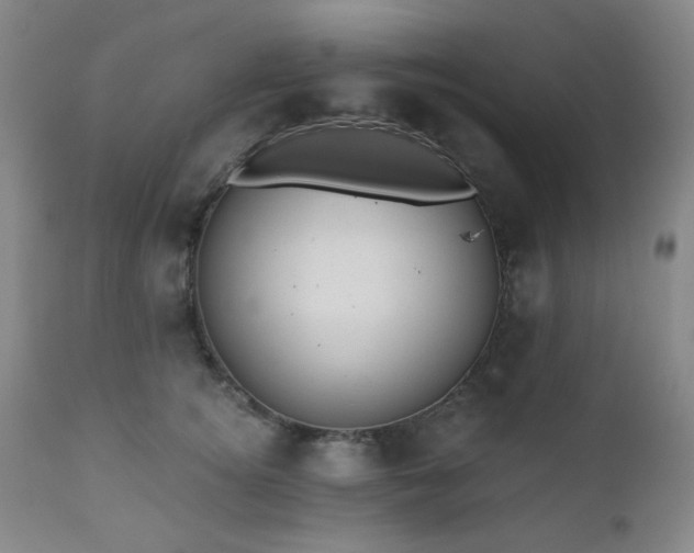 X0000110960756200906191312