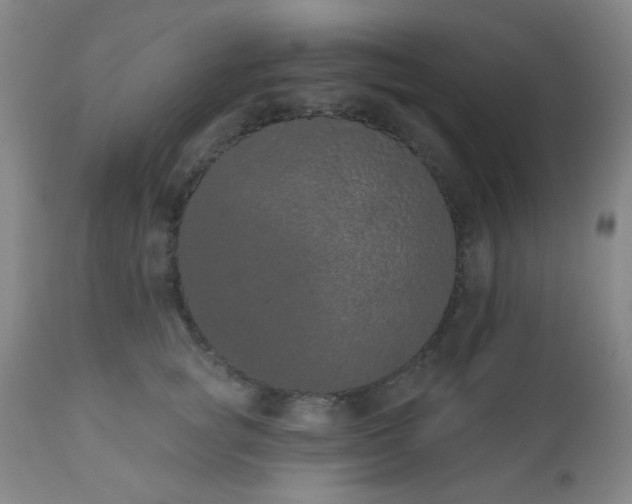 X0000110960757200906191312