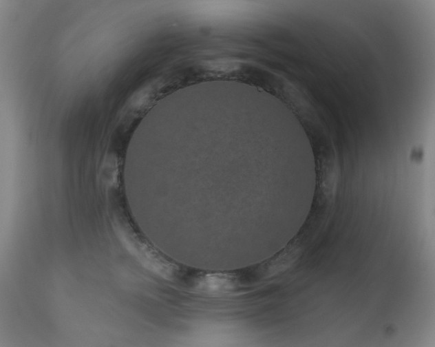 X0000110960758200906191312