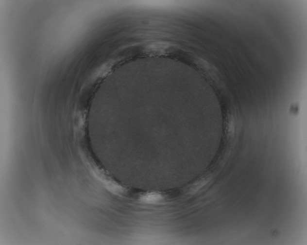 X0000110960759200906191312