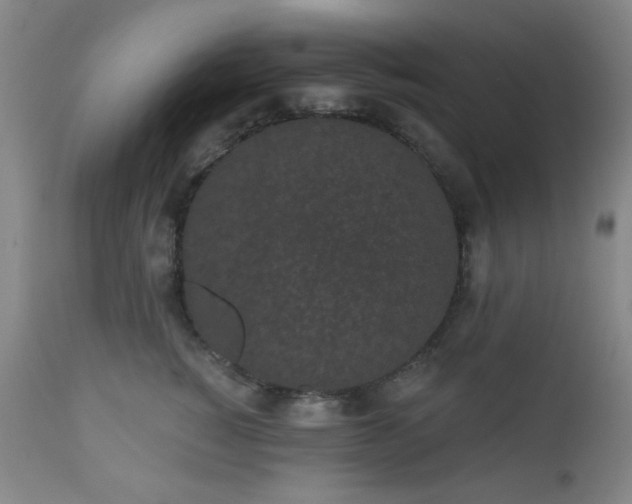 X0000110960760200906191312