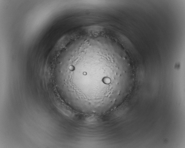X0000110960761200906191312