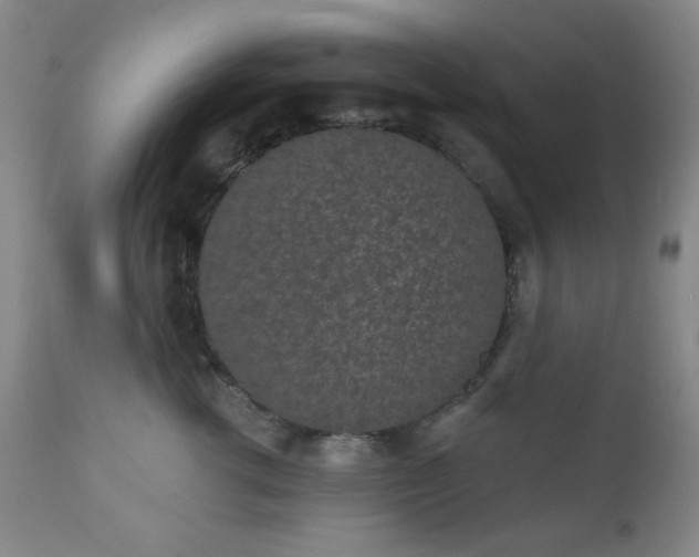 X0000110960762200906191312